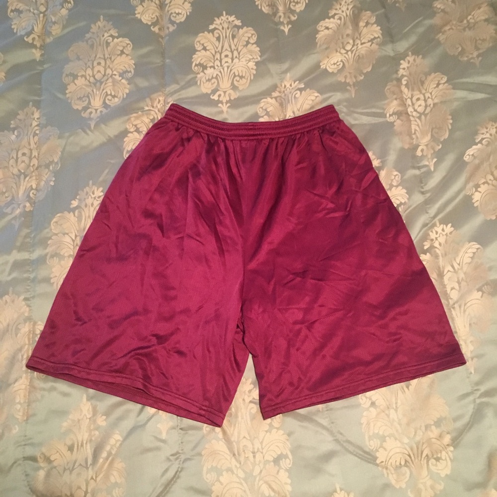 Velvet Mesh Shorts